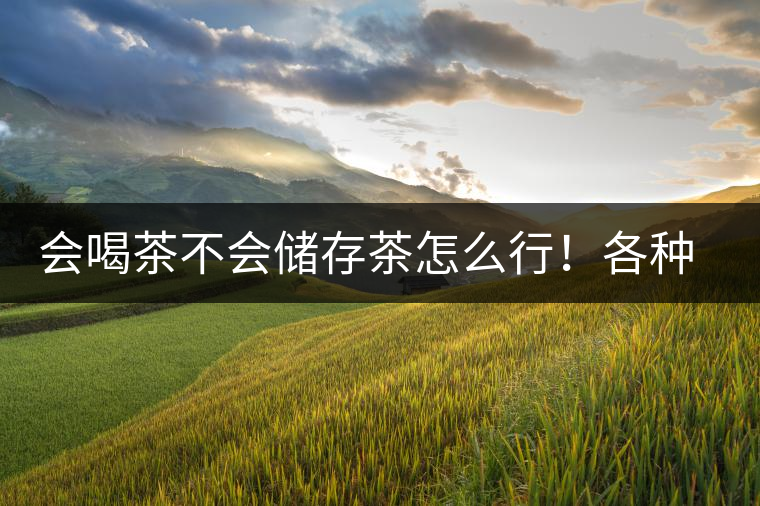 會喝茶不會儲存茶怎么行!各種存茶方法與技巧,把茶香留住 會喝茶不會儲存茶怎么行!各種存茶方法與技巧,把茶香留住