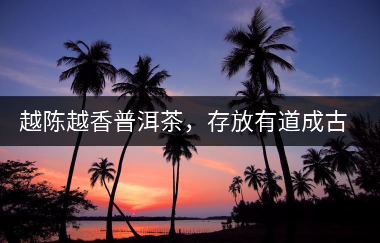 越陳越香普洱茶，存放有道成古董