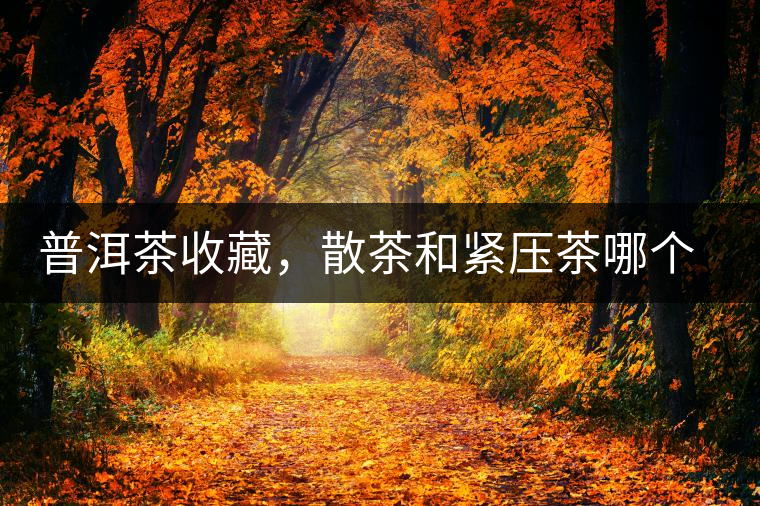 普洱茶收藏,散茶和緊壓茶哪個(gè)更好? 普洱茶收藏,散茶和緊壓茶哪個(gè)更好?