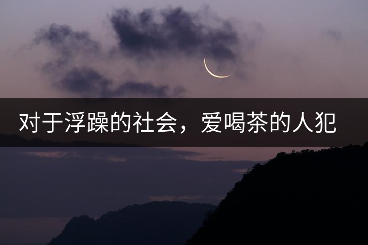 對于浮躁的社會,愛喝茶的人犯了種種罪行 對于浮躁的社會,愛喝茶的人犯了種種罪行