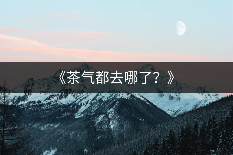 《茶氣都去哪了?》 《茶氣都去哪了?》