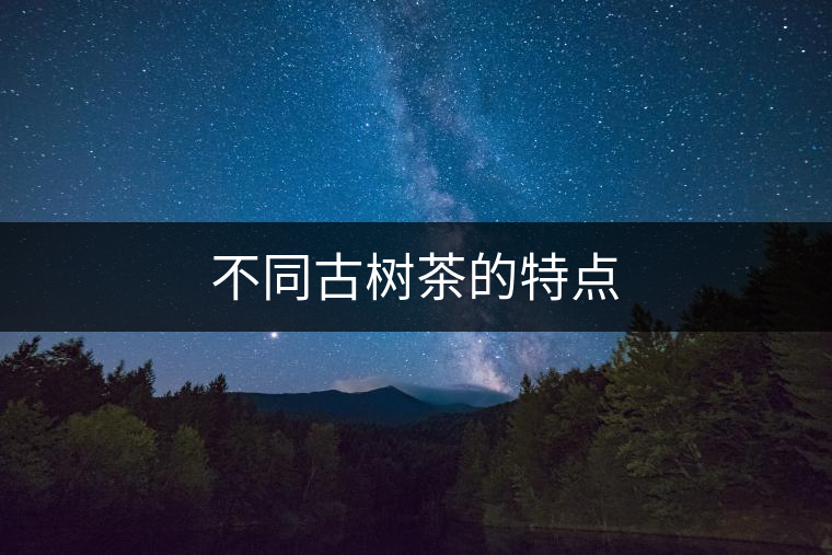 不同古樹茶的特點(diǎn)
