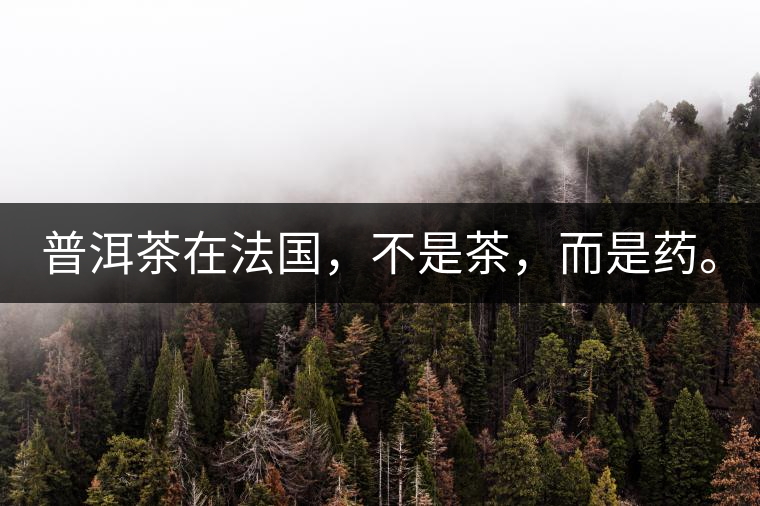 普洱茶在法國,不是茶,而是藥。 普洱茶在法國,不是茶,而是藥。