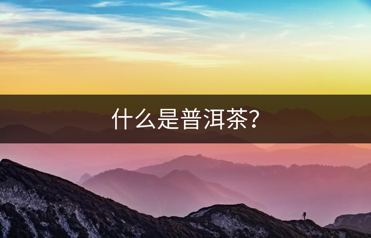 什么是普洱茶? 什么是普洱茶?