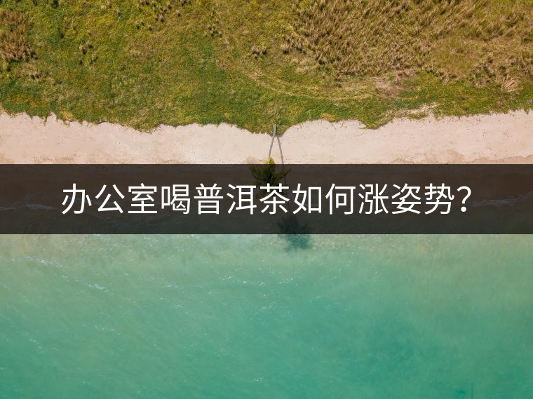 辦公室喝普洱茶如何漲姿勢(shì)? 辦公室喝普洱茶如何漲姿勢(shì)?