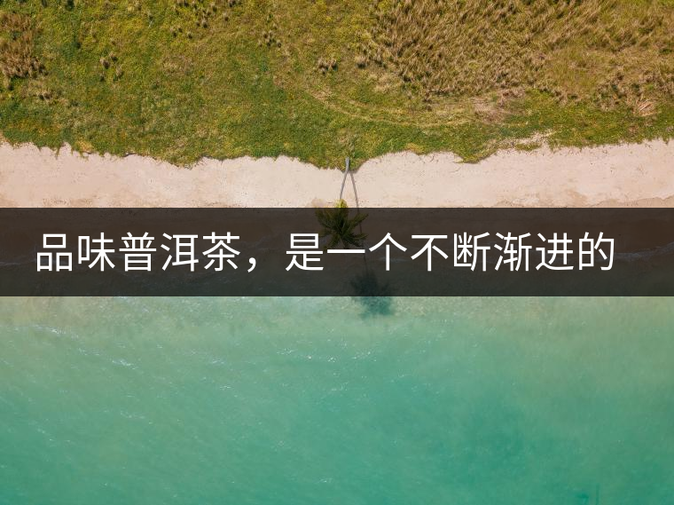 品味普洱茶,是一個(gè)不斷漸進(jìn)的過(guò)程 品味普洱茶,是一個(gè)不斷漸進(jìn)的過(guò)程