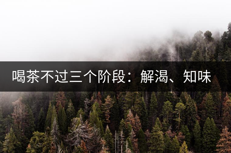 喝茶不過三個階段：解渴、知味、怡情