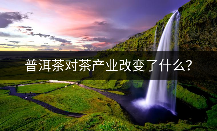 普洱茶對茶產業改變了什么? 普洱茶對茶產業改變了什么?