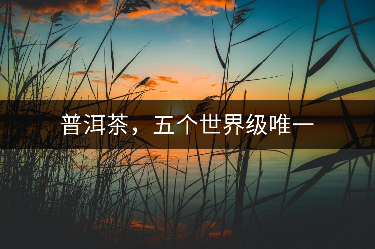 普洱茶，五個(gè)世界級唯一