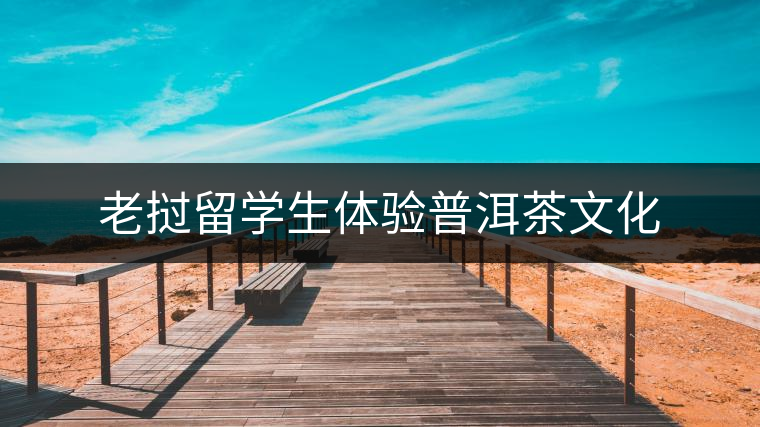 老撾留學(xué)生體驗普洱茶文化 老撾留學(xué)生體驗普洱茶文化