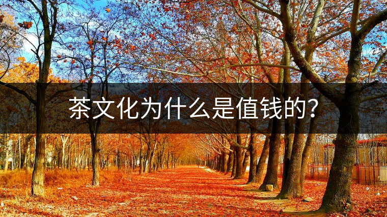 茶文化為什么是值錢(qián)的？
