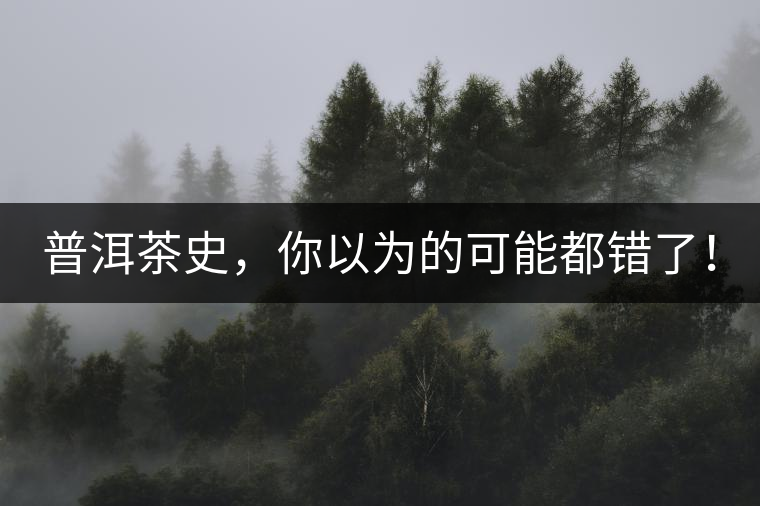 普洱茶史，你以為的可能都錯了！