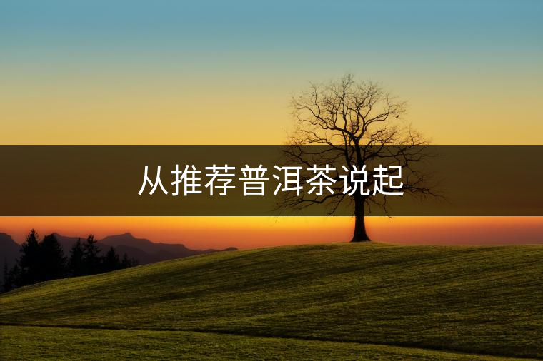 從推薦普洱茶說起 從推薦普洱茶說起