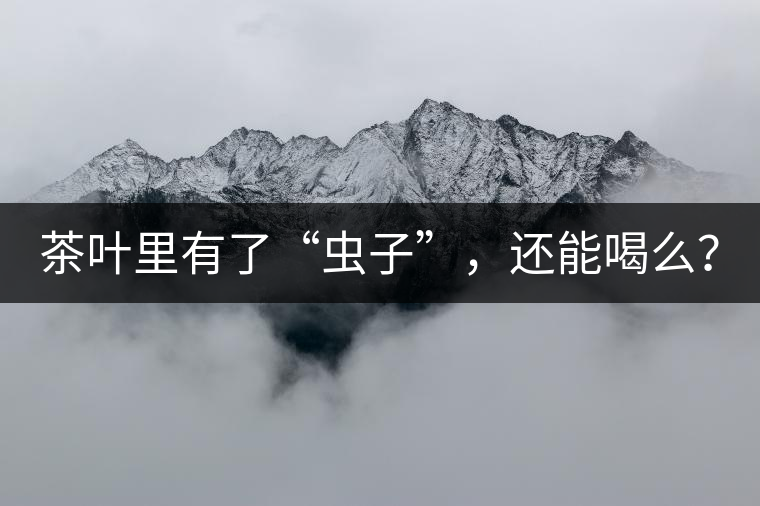 茶葉里有了“蟲(chóng)子”,還能喝么? 茶葉里有了“蟲(chóng)子”,還能喝么?