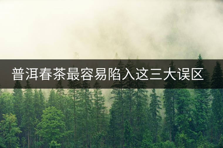 普洱春茶最容易陷入這三大誤區(qū)里