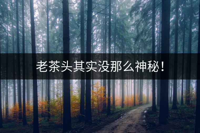 老茶頭其實沒那么神秘! 老茶頭其實沒那么神秘!
