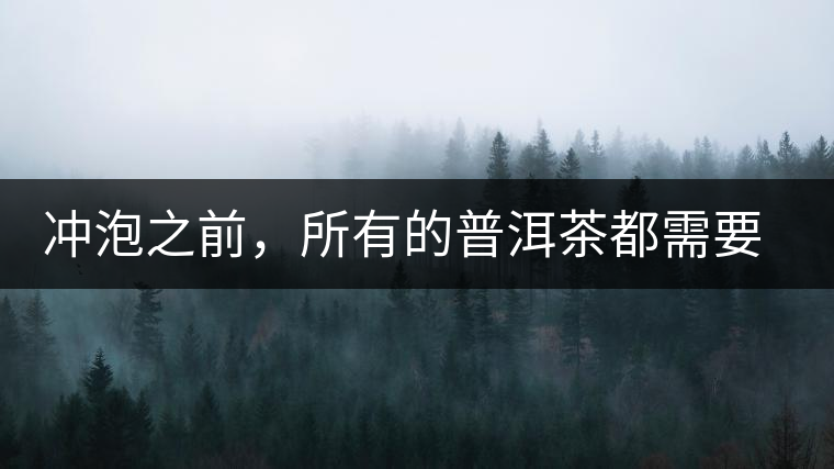 沖泡之前,所有的普洱茶都需要醒茶嗎? 沖泡之前,所有的普洱茶都需要醒茶嗎?