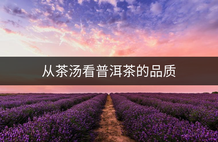 從茶湯看普洱茶的品質 從茶湯看普洱茶的品質