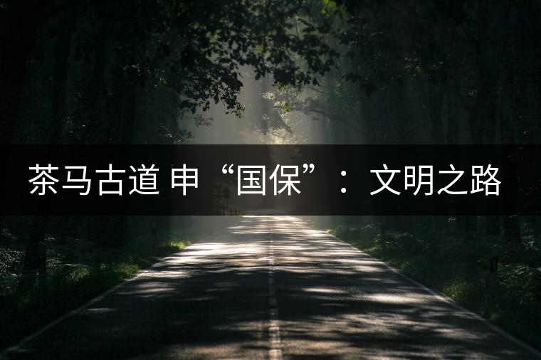 茶馬古道 申“國保”:文明之路的再發(fā)現(xiàn) 茶馬古道 申“國保”:文明之路的再發(fā)現(xiàn)