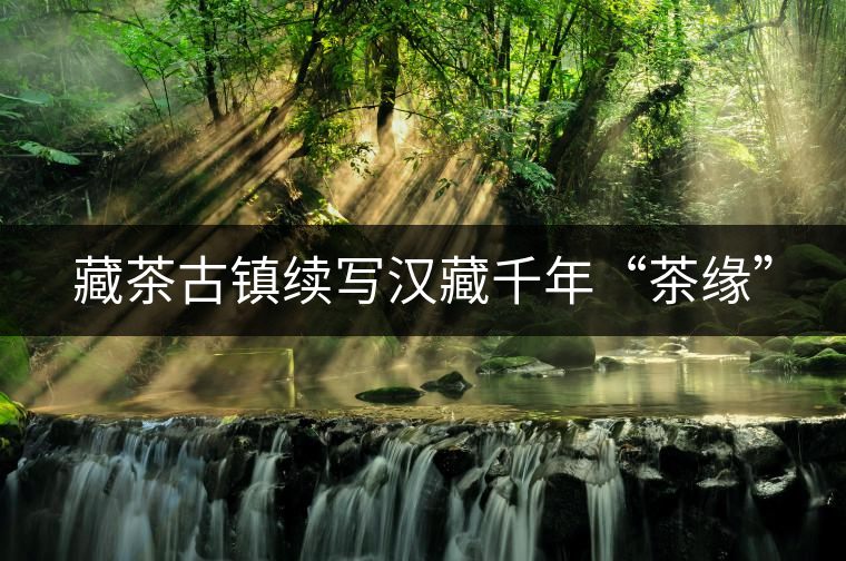 藏茶古鎮續寫漢藏千年“茶緣” 藏茶古鎮續寫漢藏千年“茶緣”