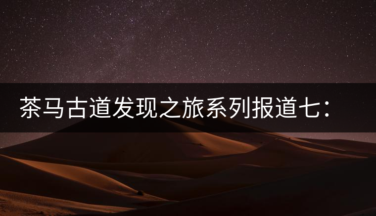 茶馬古道發現之旅系列報道七：漢藏血脈普洱路
