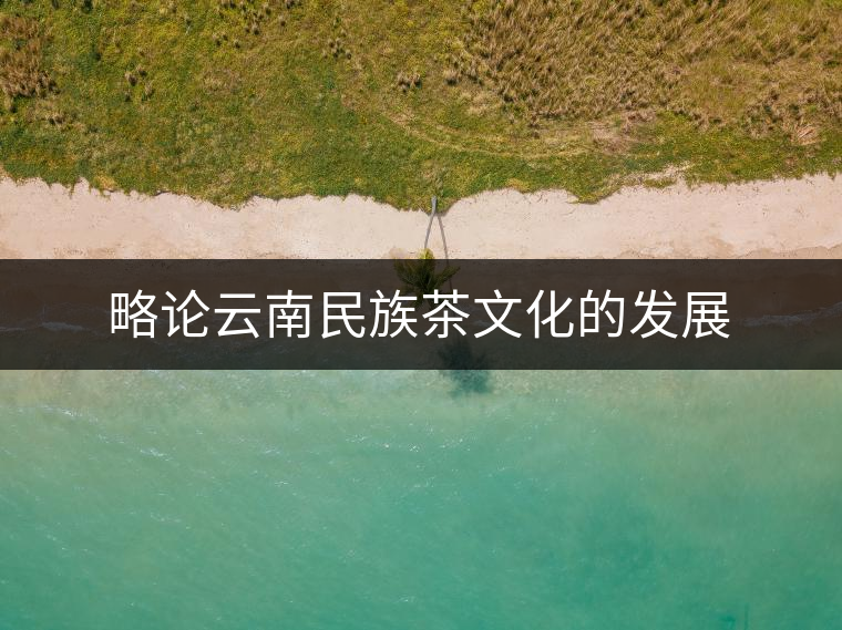 略論云南民族茶文化的發展