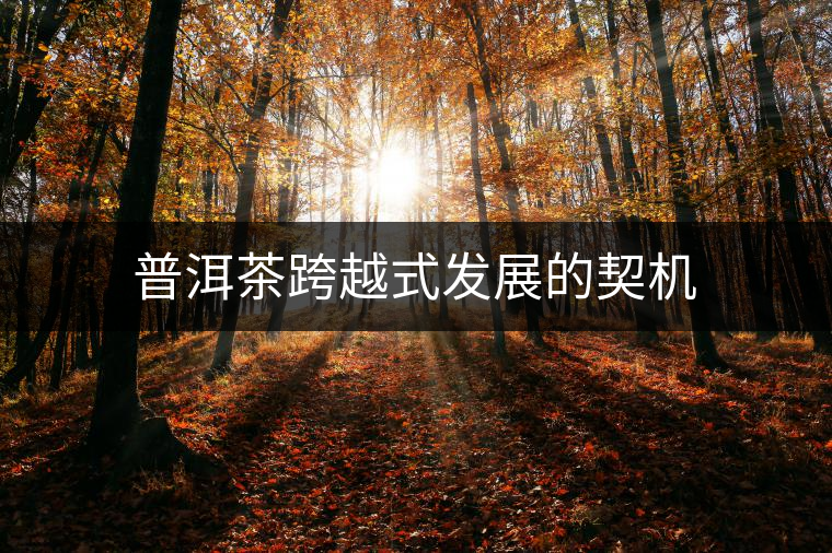 普洱茶跨越式發展的契機 普洱茶跨越式發展的契機