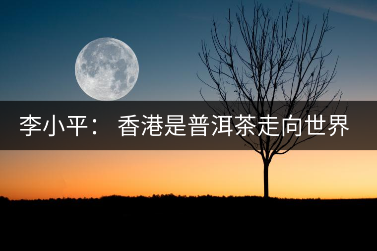 李小平： 香港是普洱茶走向世界的重要平臺(tái)