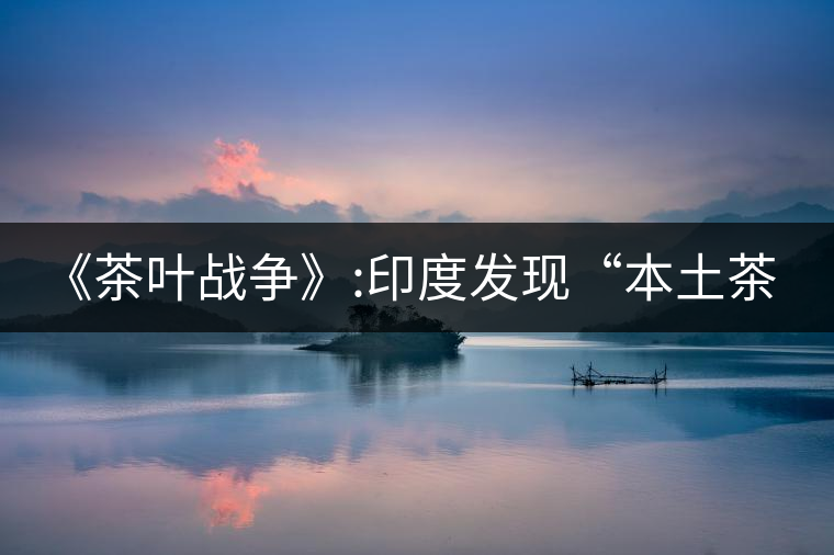 《茶葉戰爭》:印度發現“本土茶樹”