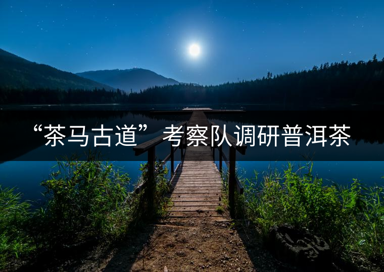 “茶馬古道”考察隊調研普洱茶文化