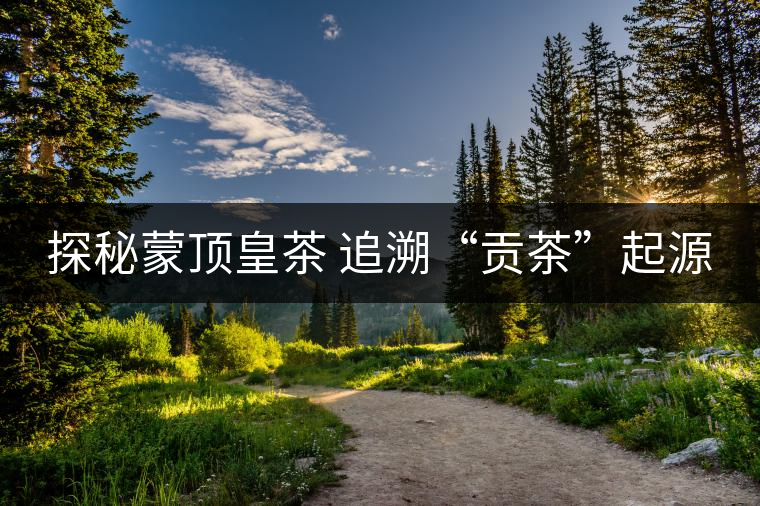 探秘蒙頂皇茶 追溯“貢茶”起源 探秘蒙頂皇茶 追溯“貢茶”起源