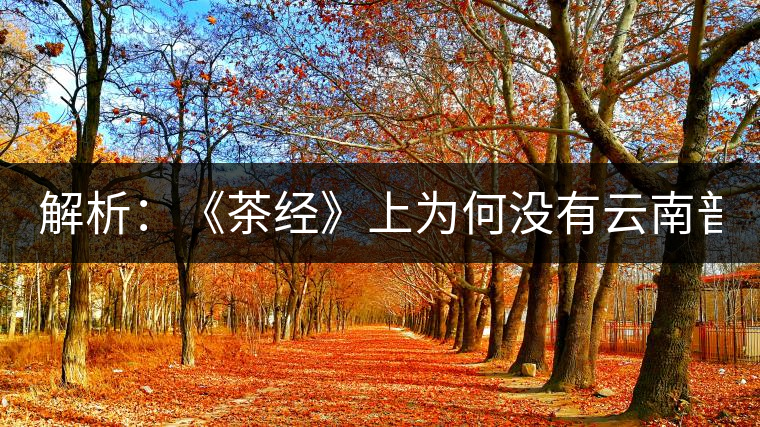 解析:《茶經》上為何沒有云南普洱茶 ? 解析:《茶經》上為何沒有云南普洱茶 ?