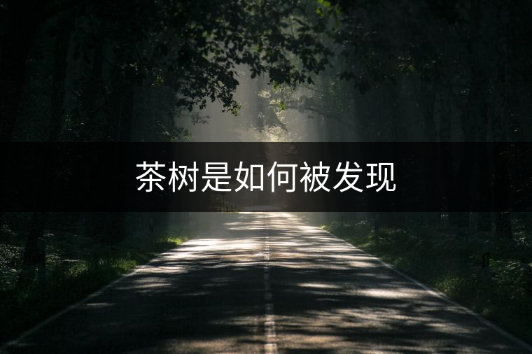 茶樹是如何被發現
