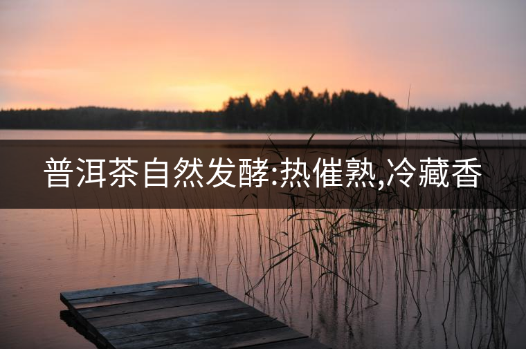 普洱茶自然發酵:熱催熟,冷藏香