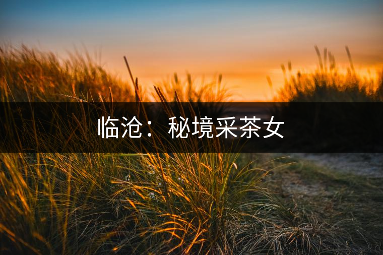 臨滄:秘境采茶女 臨滄:秘境采茶女
