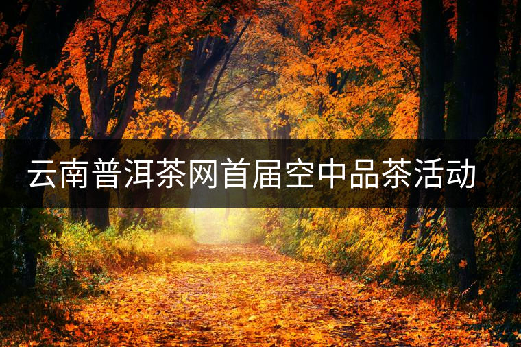 云南普洱茶網首屆空中品茶活動交流情況匯報