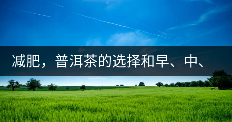 減肥，普洱茶的選擇和早、中、晚的喝法