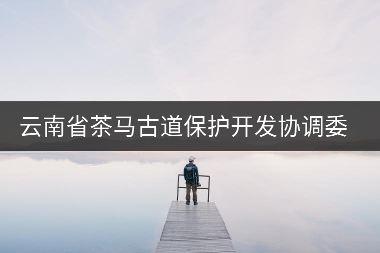 云南省茶馬古道保護開發協調委員會成立