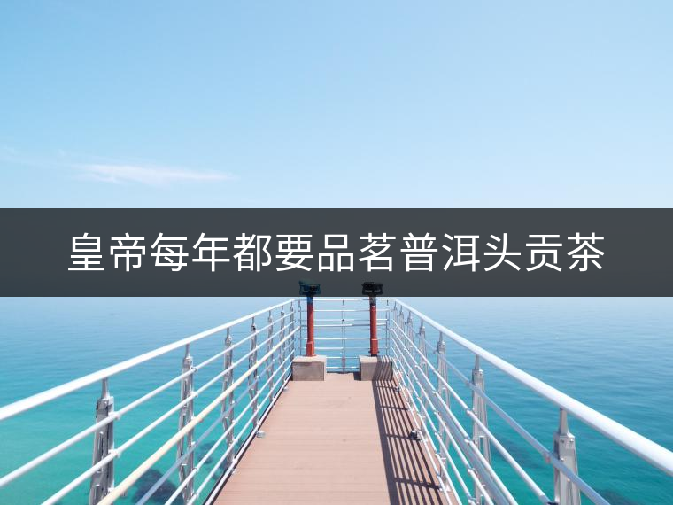 皇帝每年都要品茗普洱頭貢茶