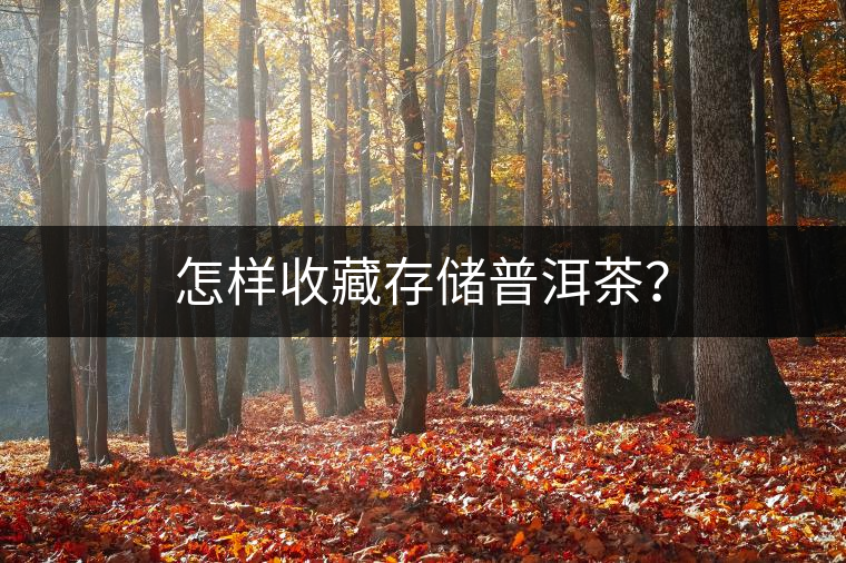 怎樣收藏存儲普洱茶? 怎樣收藏存儲普洱茶?