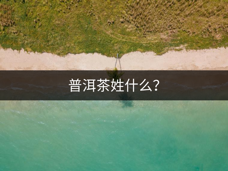 普洱茶姓什么? 普洱茶姓什么?