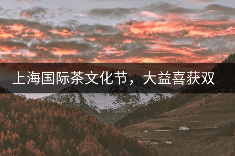 上海國際茶文化節，大益喜獲雙獎