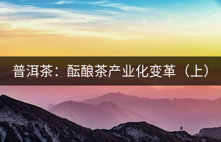 普洱茶：醞釀茶產(chǎn)業(yè)化變革（上）
