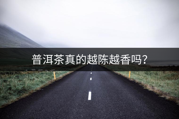 普洱茶真的越陳越香嗎? 普洱茶真的越陳越香嗎?