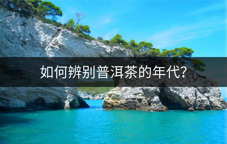 如何辨別普洱茶的年代? 如何辨別普洱茶的年代?