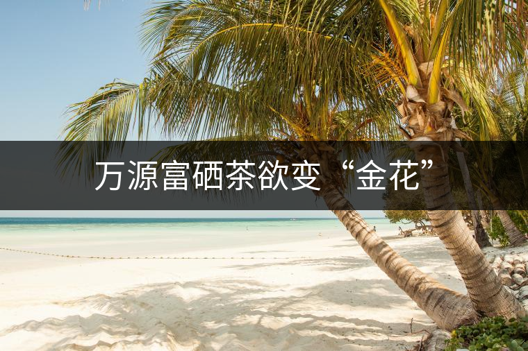 萬源富硒茶欲變“金花” 萬源富硒茶欲變“金花”