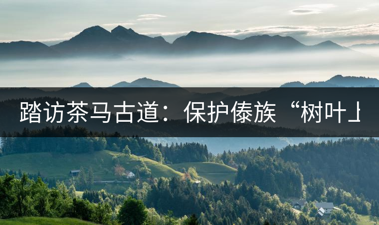 踏訪茶馬古道:保護傣族“樹葉上的文明” 踏訪茶馬古道:保護傣族“樹葉上的文明”