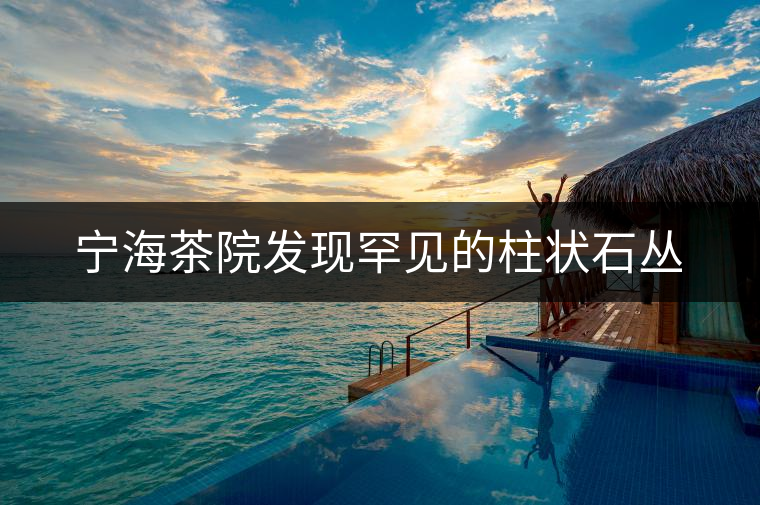 寧海茶院發現罕見的柱狀石叢