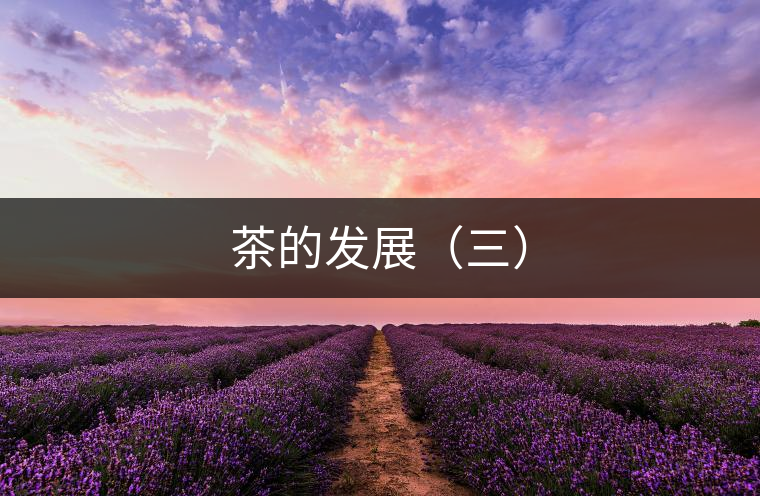 茶的發展（三）