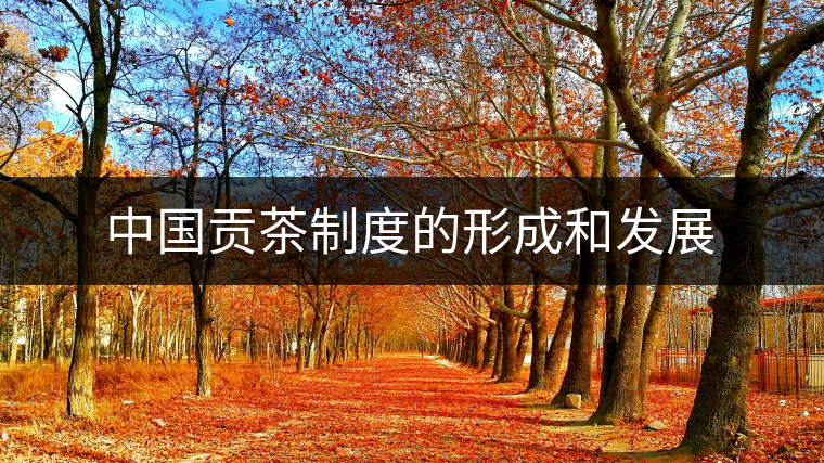 中國貢茶制度的形成和發展 中國貢茶制度的形成和發展